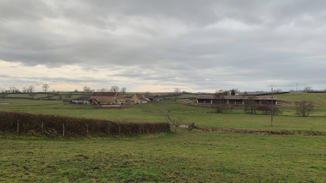 Morning routine vache allaitante en hiver |vielle étable| |2021|