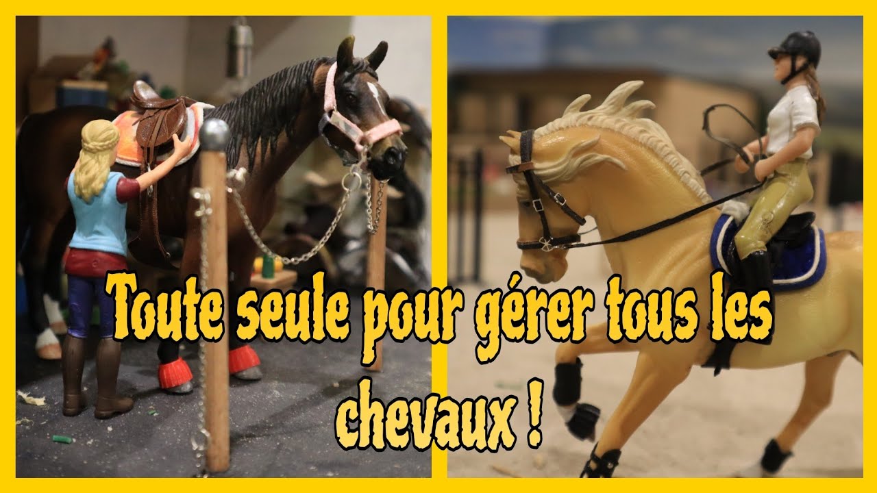[VLOG] Victoire est malade et Camélia doit gérer tous les chevaux toute seule !