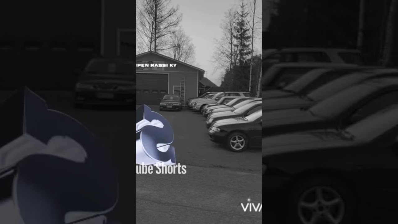 Ultra & &Auml;&auml;ni - &Auml;ss&auml; pihassa