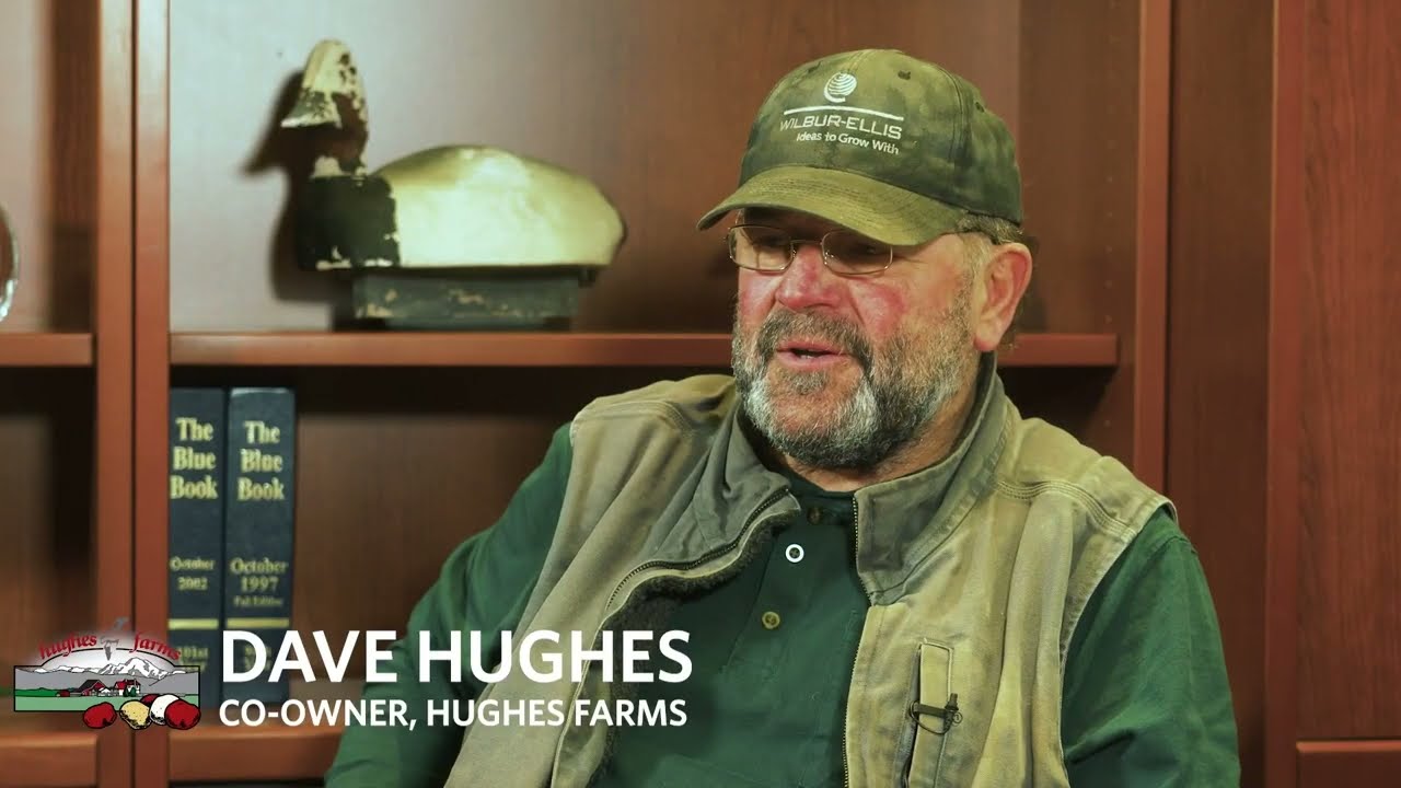Next Level Potato Grading @ Hughes Farms in USA