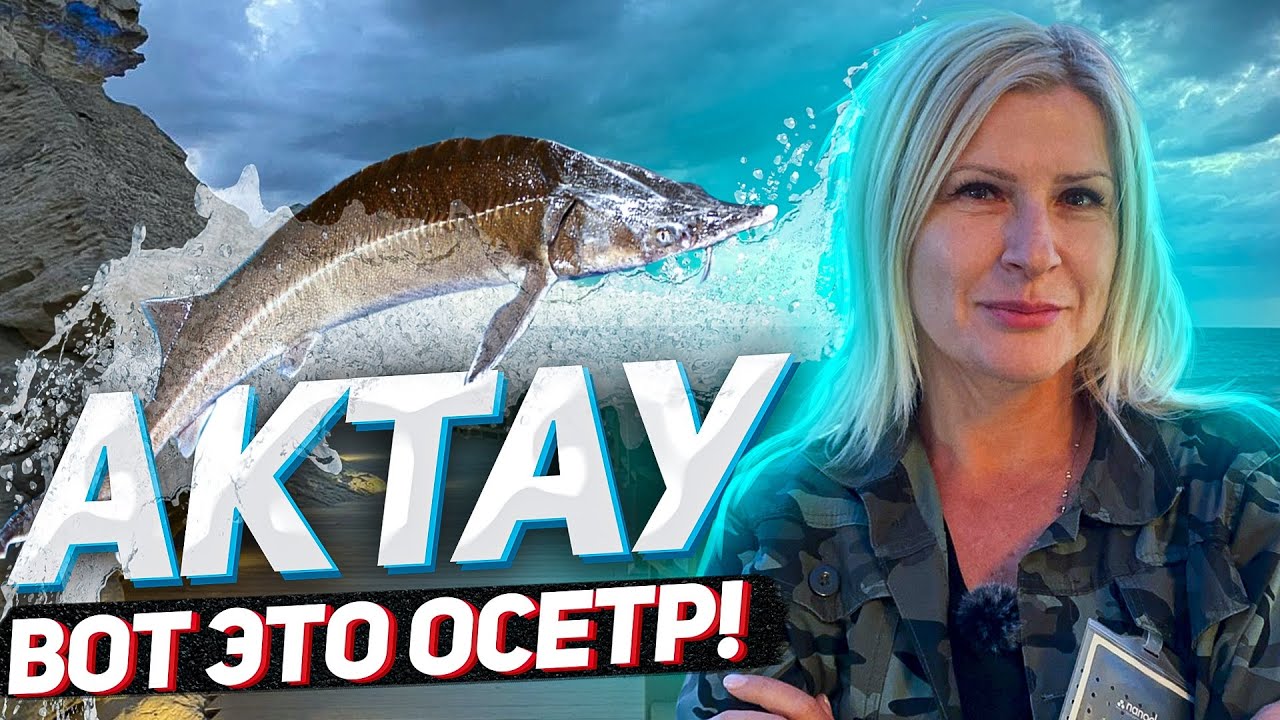АКТАУ! Вот это ОСЁТР! / 