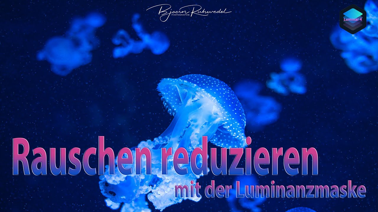 Luminar 4 - Rauschen reduzieren mit der Luminanzmaske