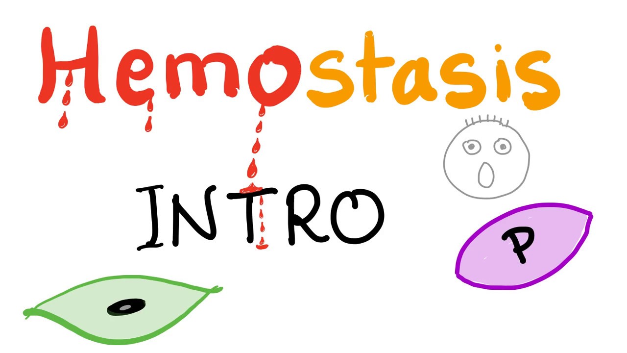 Hemostasis - How your blood clots - Overview