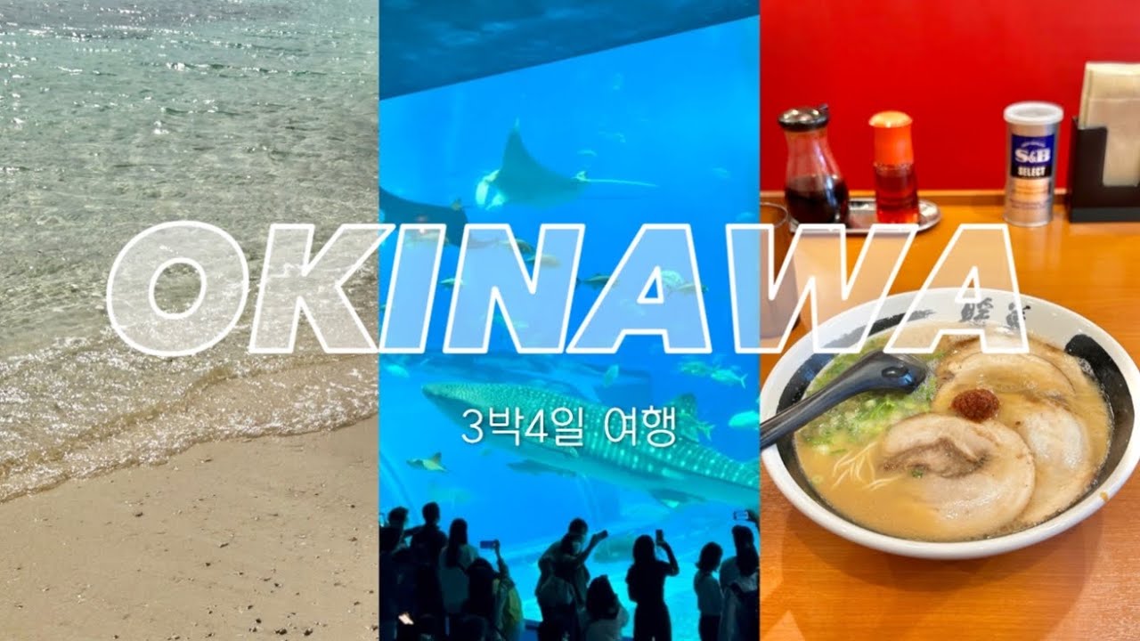 오키나와 3박4일 혼자 여행하기 | 츄라우미 수족관 🐬 | 아울렛 쇼핑 🛍️ | 북부투어 | 일본 여행 | 혼여행 추천