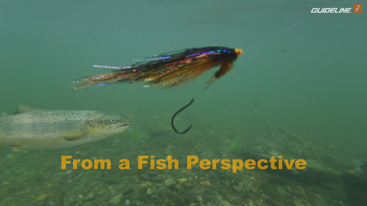 Salmon Flies Underwater: How Color Changes in Clear and Murky Water 
