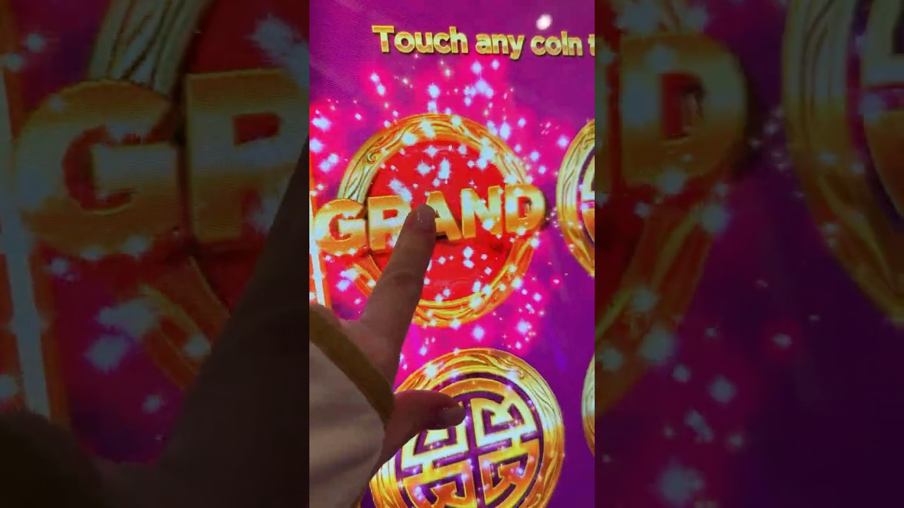 OMG.. We Just DESTROYED IT............. #casino #gambling #slot #viral