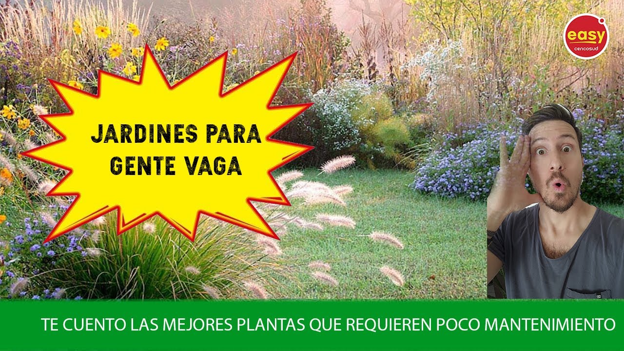 JARDINES PARA GENTE VAGA  | JARDINES DE BAJO MANTENIMIENTO | PLANTAS F&Aacute;CILES DE CUIDAR