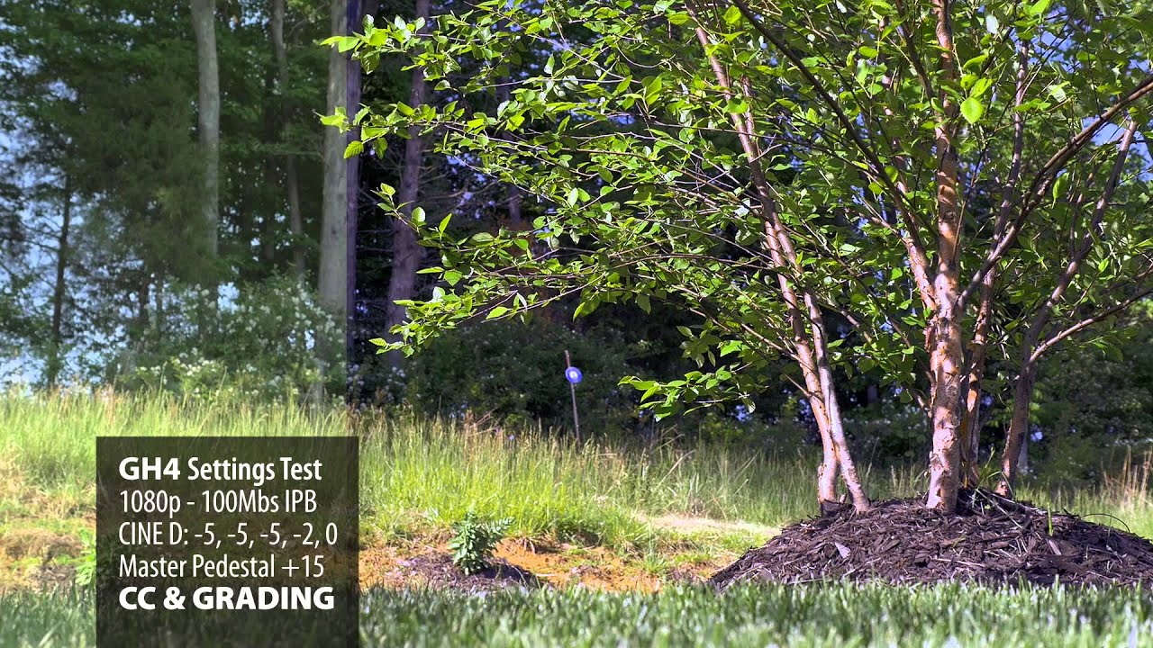 GH4 Settings Test