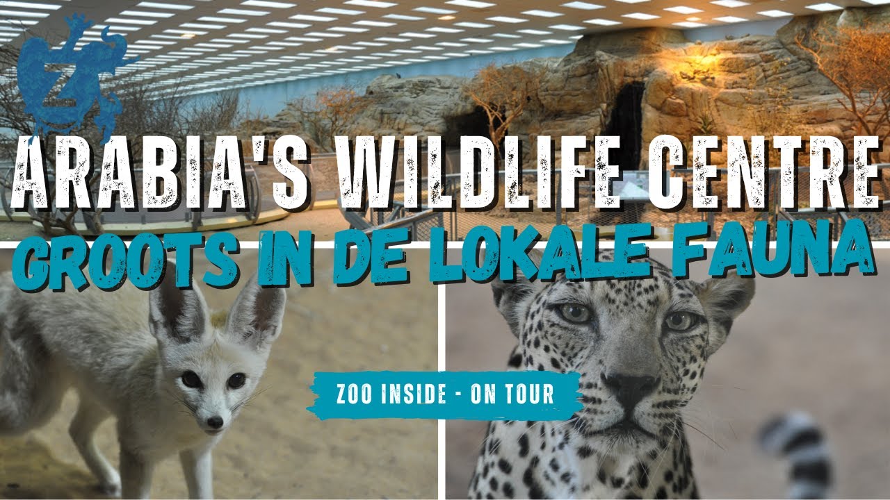 Arababia's wildlife centre Arabia’s Wildlife Centre - Woestijnervaring van Binnenuit