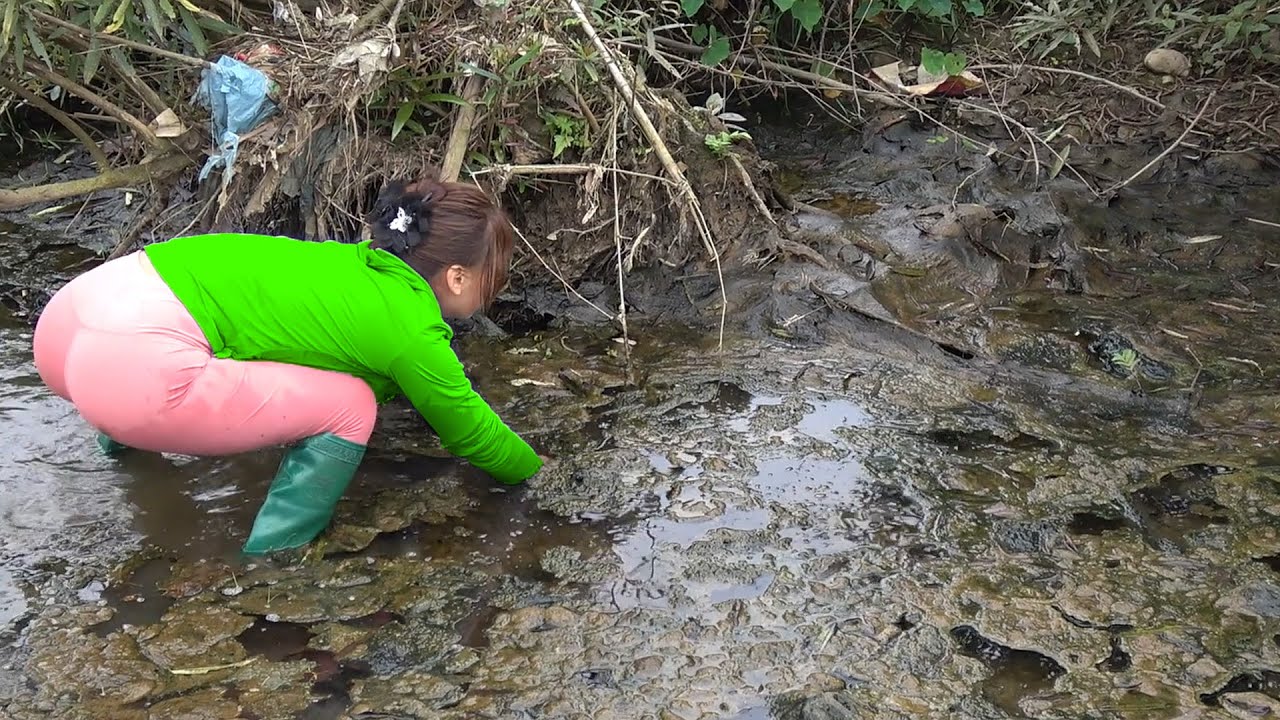 Girl Catching Fish in Muddy Pond - Girl's Amazing Fishing Skills