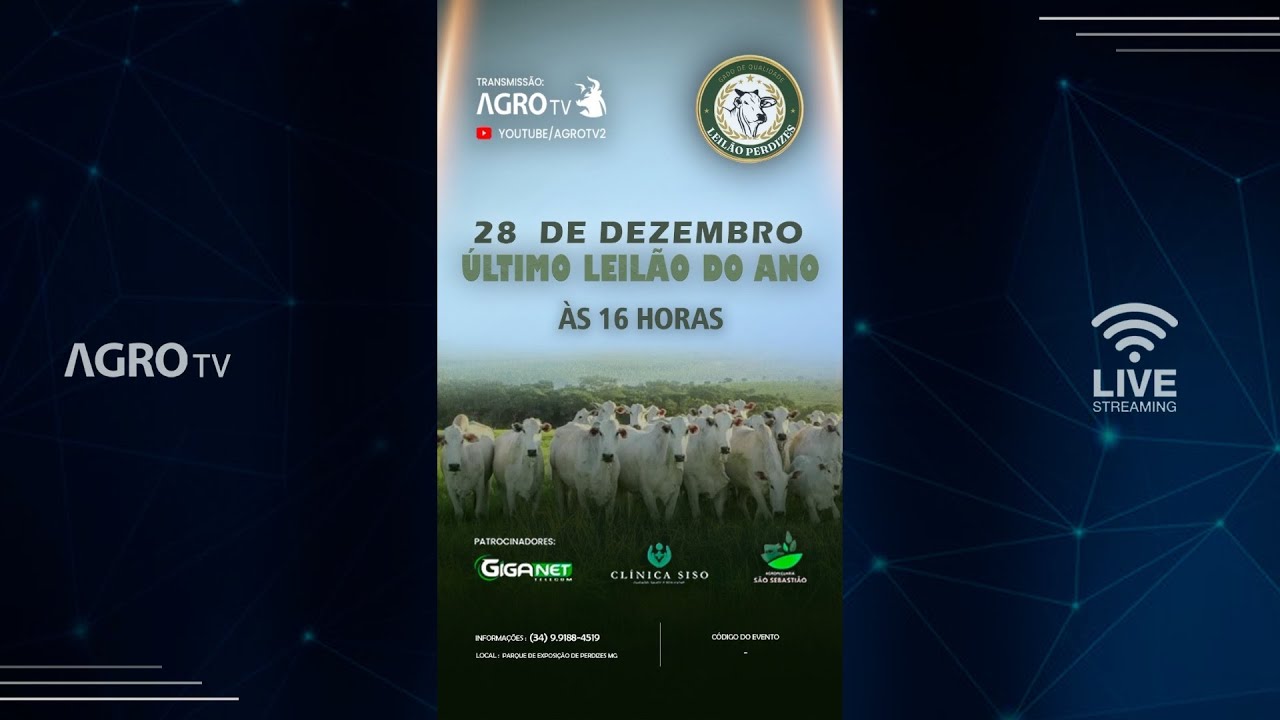 LEIL&Atilde;O PERDIZES - 28/12/2025