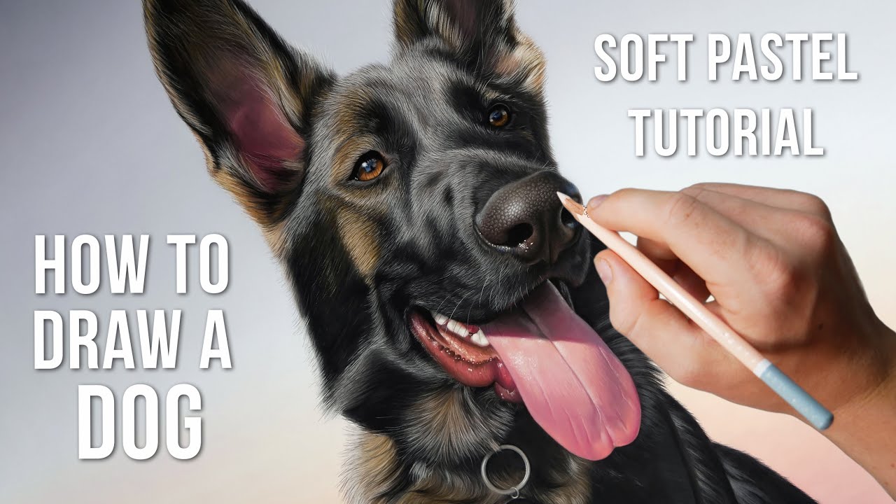How to Draw a REALISTIC German Shepherd Dog using Soft Pastels | BEGINNER+