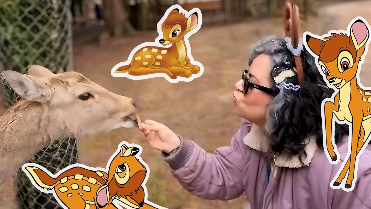 BISCOITANDO OS BAMBIS DE NARA (e ainda FUI PERSEGUIDA) 🇯🇵 - Nunca Te Pedi Nada