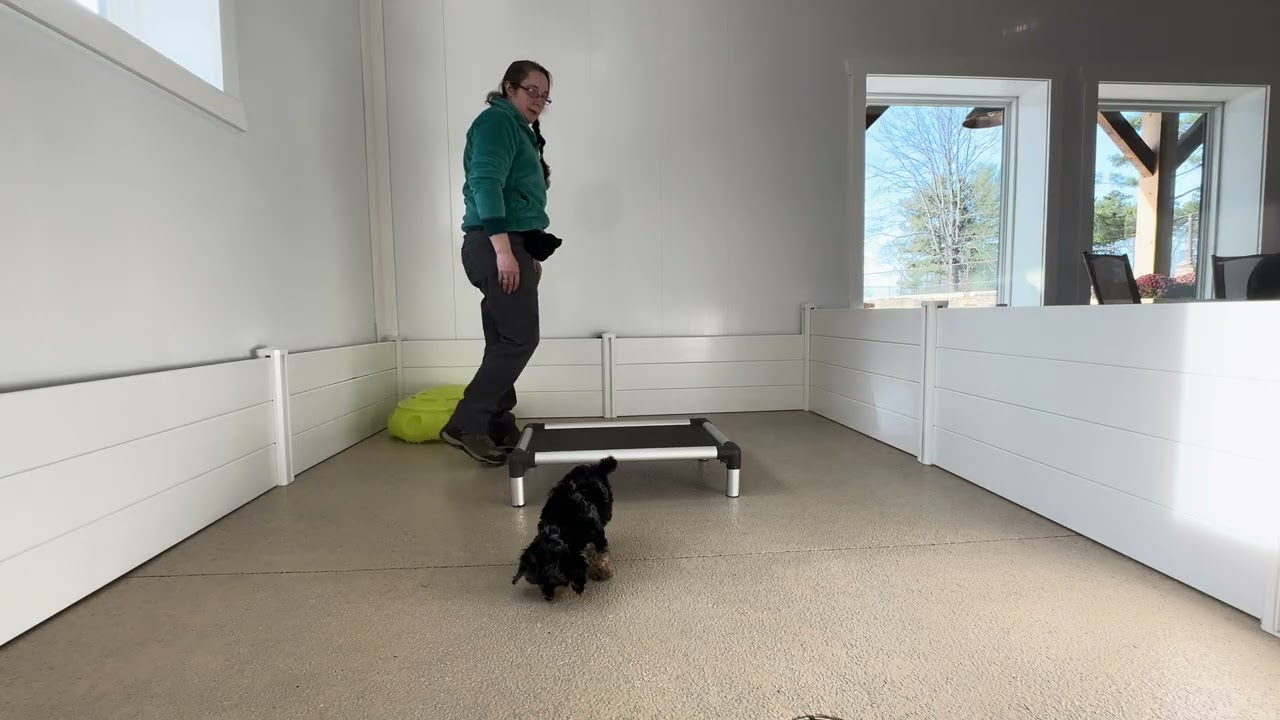 Stack Training Session 01/12