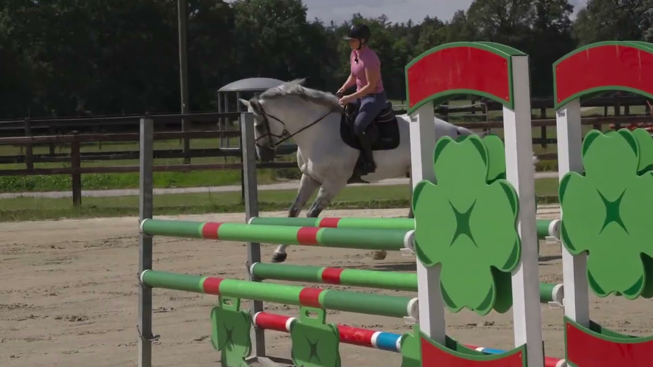 Mehr Balance und Kontrolle: Den Galoppsprung variieren lernen ⎪ Steffi Reining & Alaba