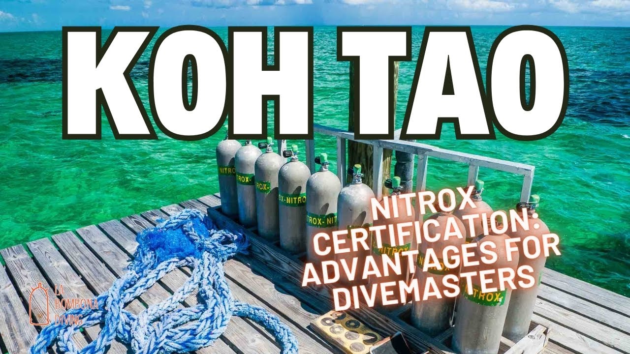 Nitrox Certification: Advantages for Divemasters
