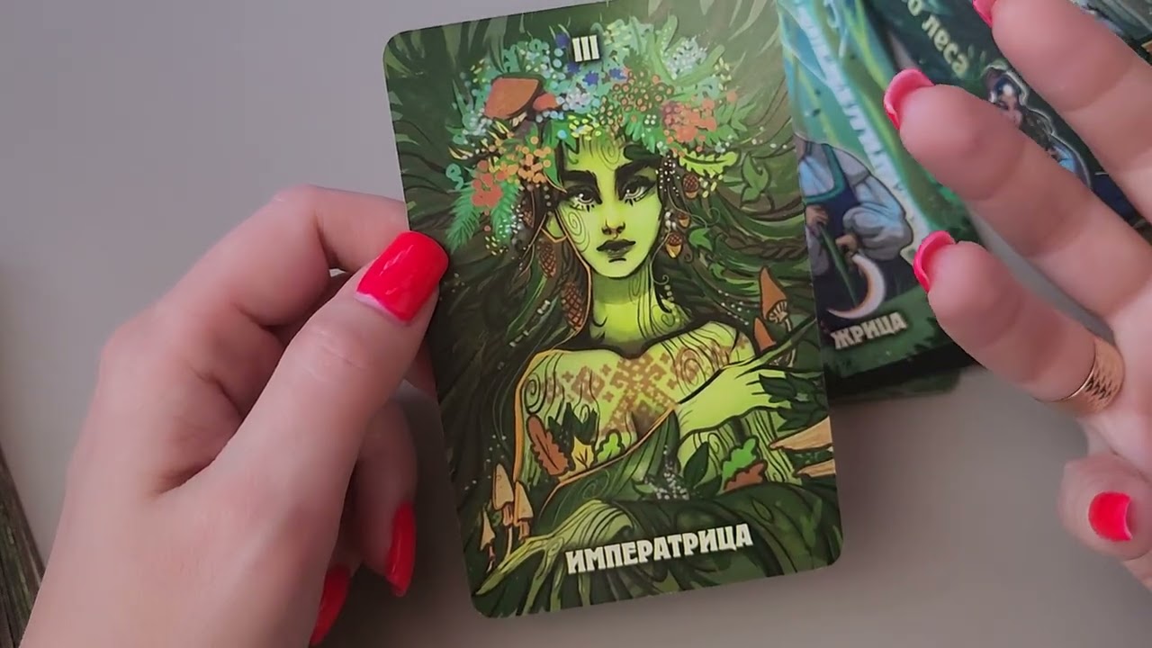 ТАРО ДРЕМУЧЕГО ЛЕСА | ОБЗОР 
