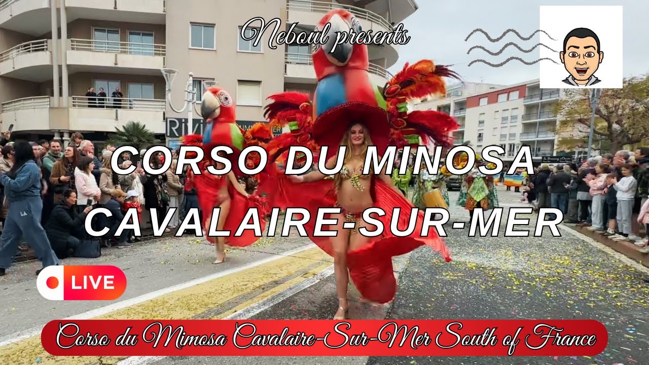 Corso du Mimosa 2025 Cavalaire-sur-Mer Experience the Golden Magic Flower Parade in South of France