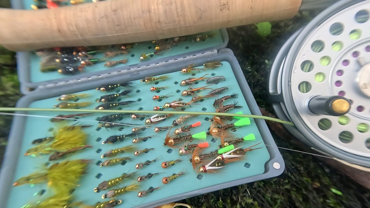 Fliegenfischen im kleinen Bach auf Bachforelle 🎣
