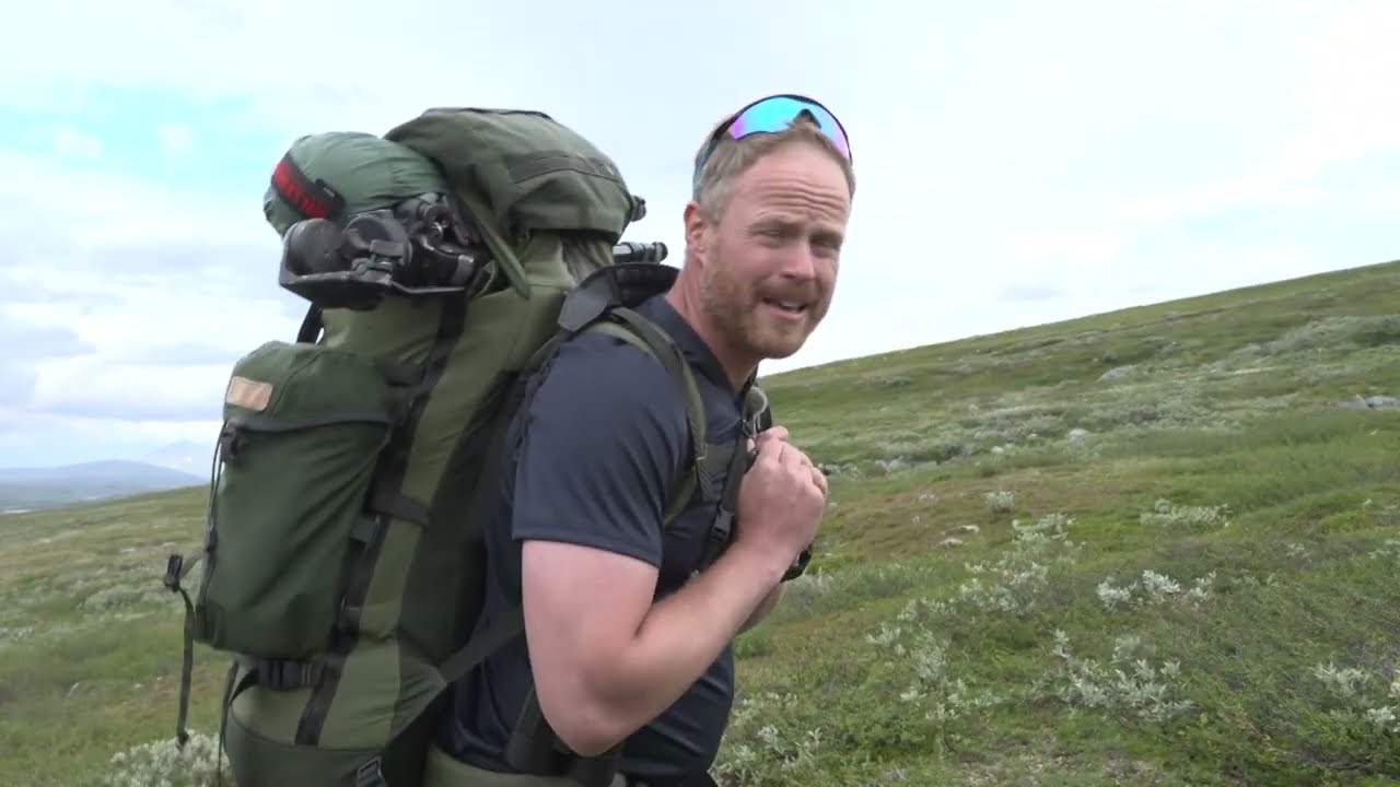 Opplæringsjakt på elg og fjellrev