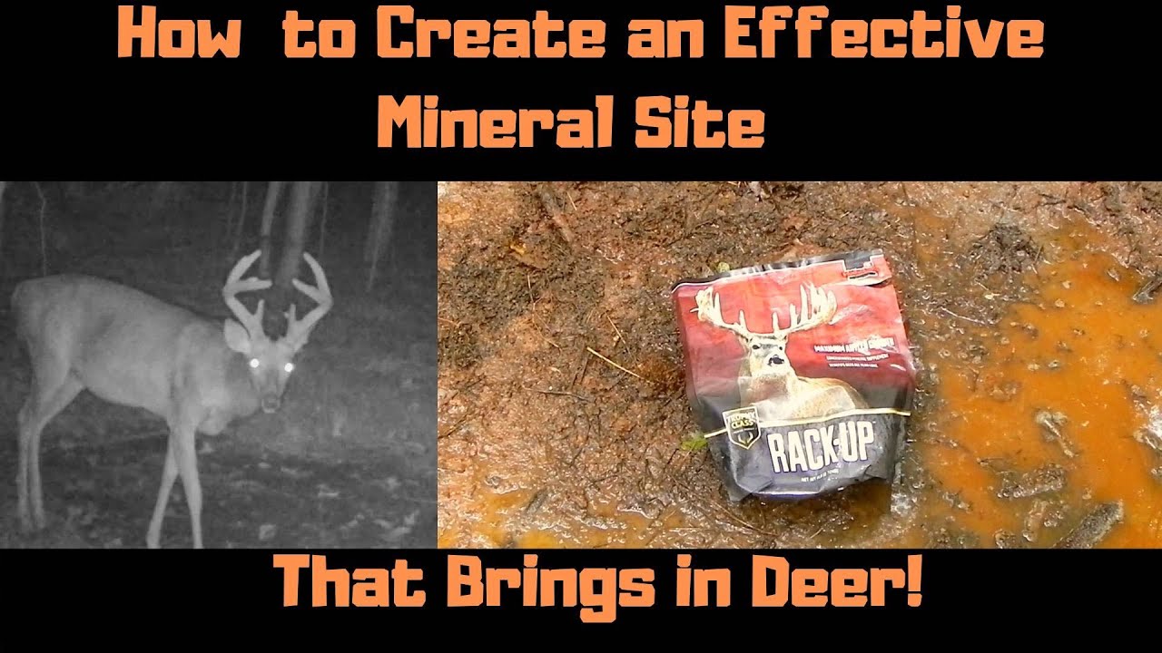How to Create an Effective Mineral Site for Whitetail Deer