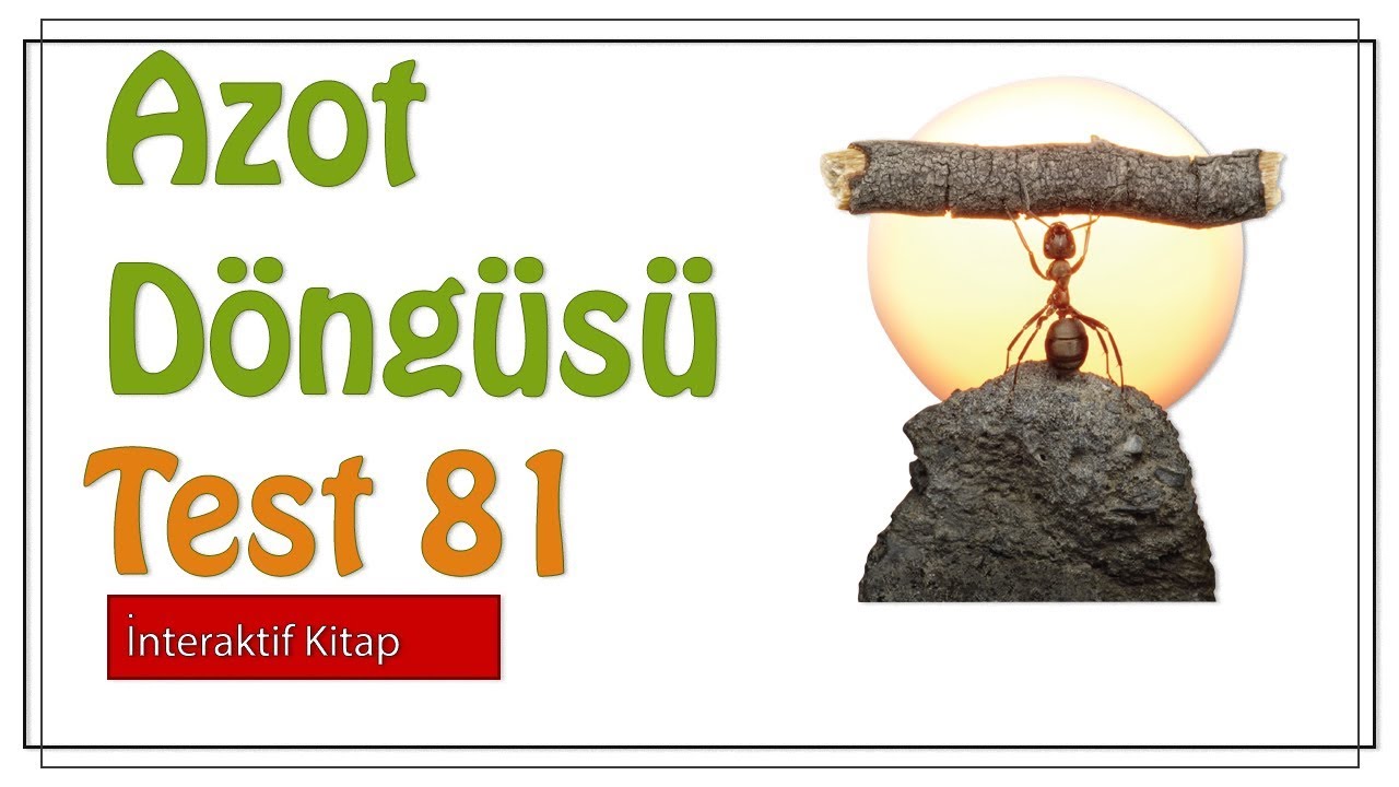 Test 81 #sayfa181