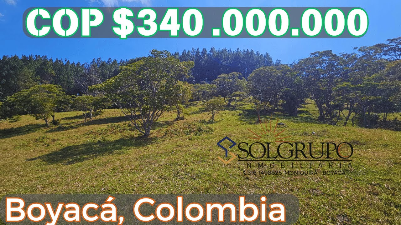 finca en venta en Moniquirá Boyacá | Colombia | ¡CONTÁCTANOS!