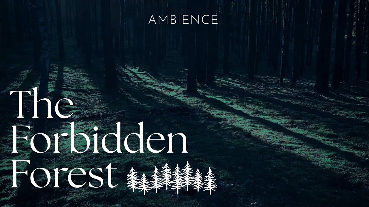 The Forbidden Forest | 🪄 Harry Potter Ambience | Night Forest Sounds 🌙🌲