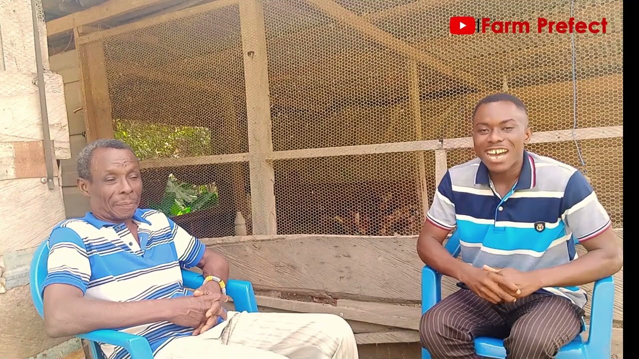 Poultry Farming in Ghana, Africa