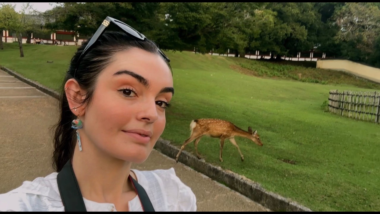 NARA DEER PARK JAPAN