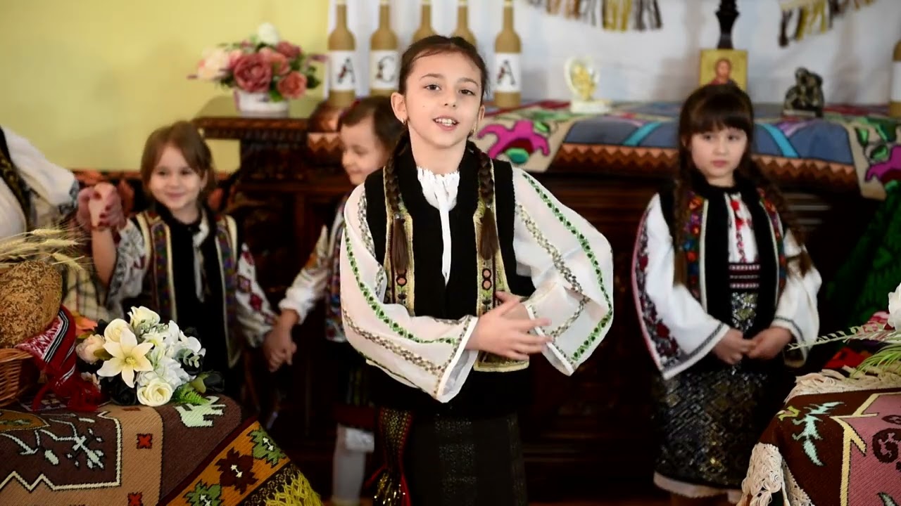 Elena Șandru -Zâce lumea că-s hlizâtă (cover)