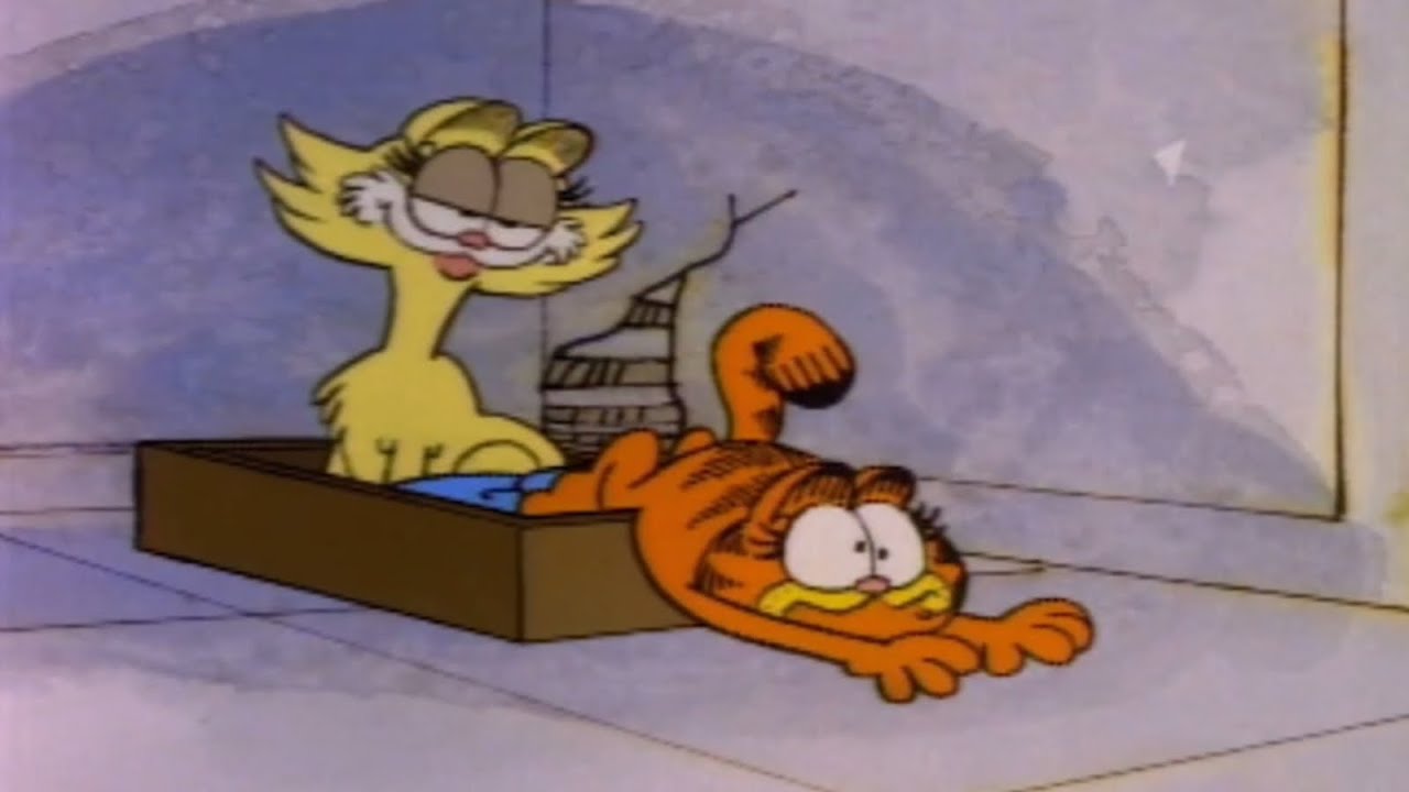 Welcome to the world, Garfield | Garfield His Nine Lives 