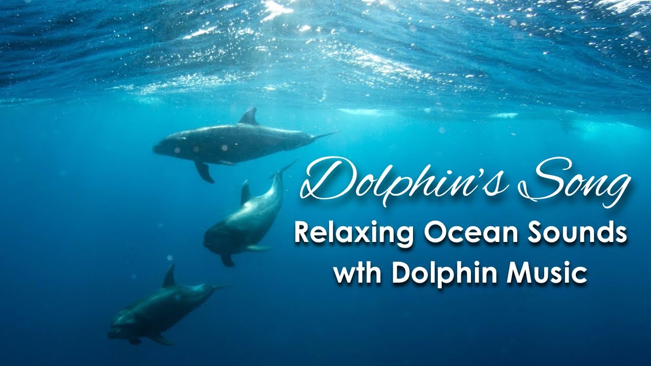 Dolphin Song & Ocean Waves ✨ Deep Sea Healing Music for Relaxation & Sleep 🐬