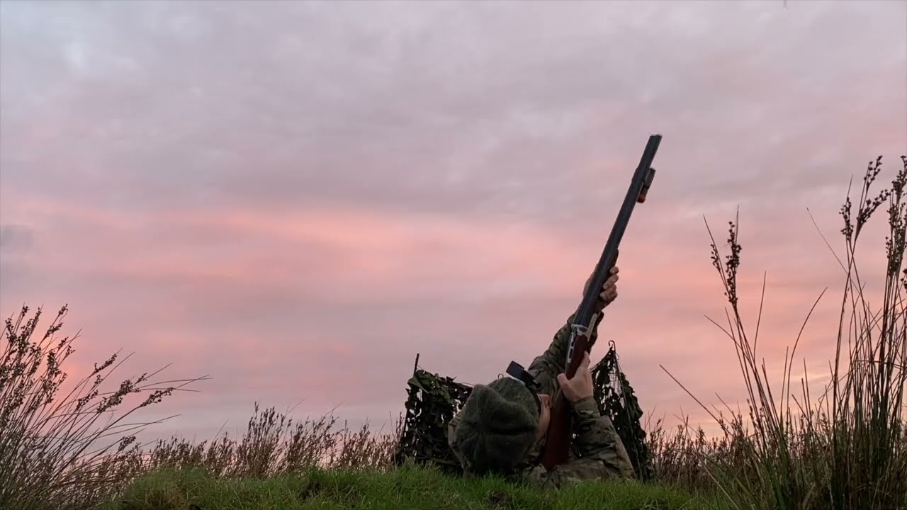 Элмер Фаддс: Недостающее звено! — Утренние полёты — Wildfowling