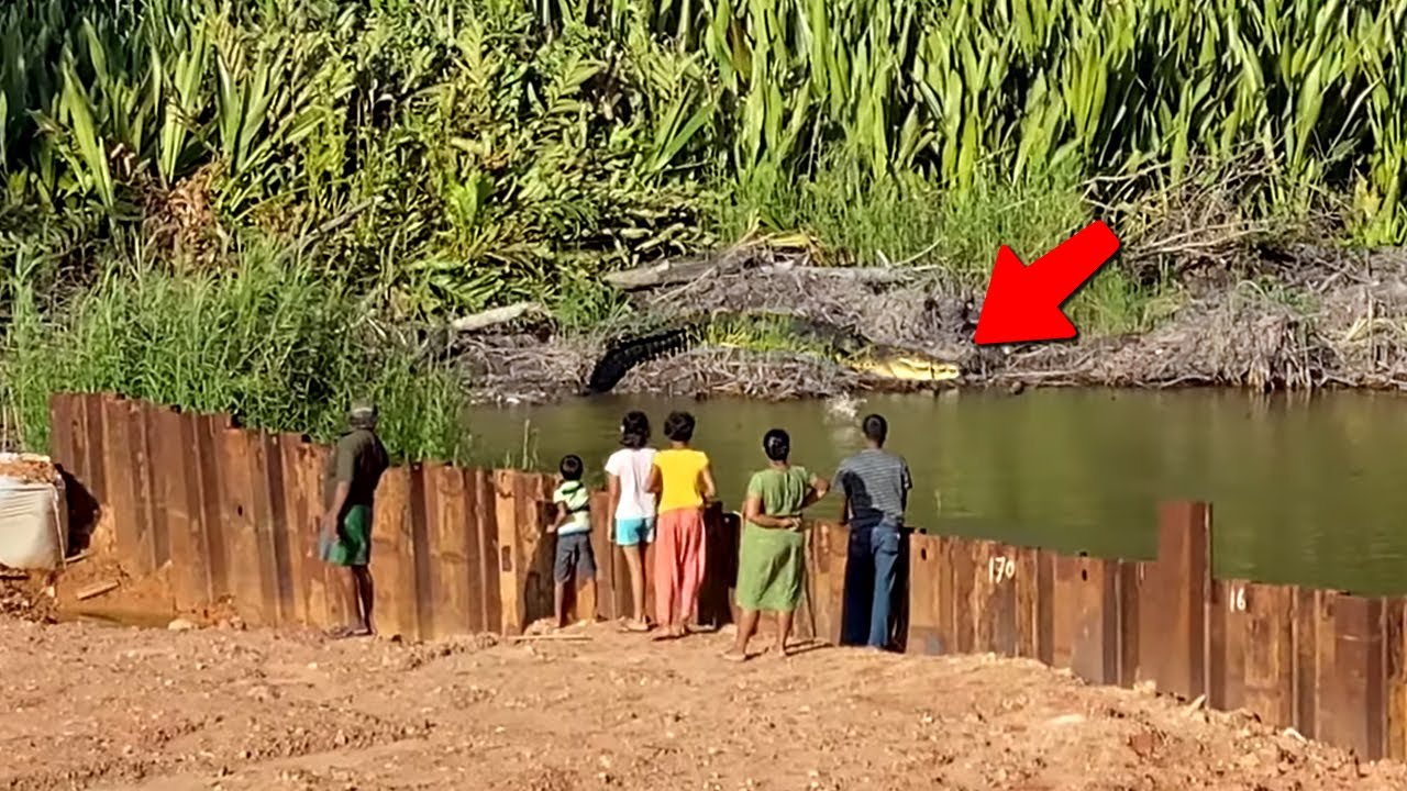 200 Incredible Things Caught on Camera. Best of the Month