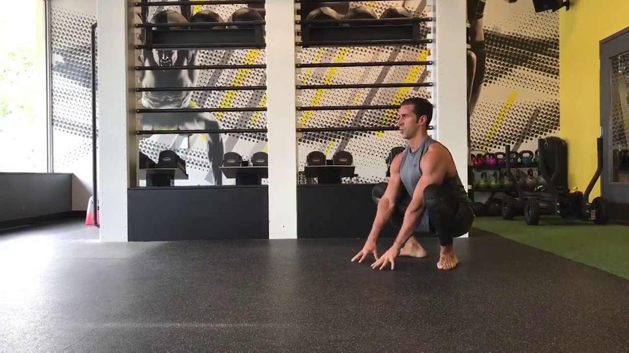 2 Minute Animal Flow Sequence With Giovanni Roselli