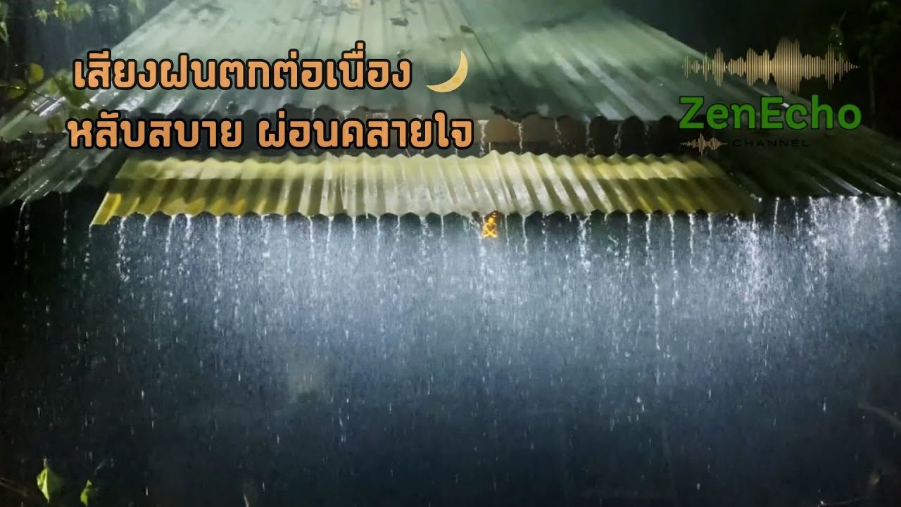 ไลฟ์สดของ ZenEcho | เสียงฝนตกต่อเนื่อง 🌙 หลับสบาย ผ่อนคลายใจ | Rain Sounds for Sleep & Relaxation