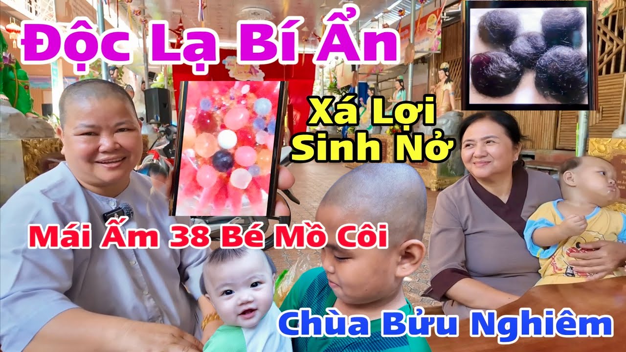 Độc Lạ Bí Ẩn Xá Lợi Phật Và Tóc Tự Búi Tròn Tại Mái Ấm 38 Bé Mồ Côi Chùa Bửu Nghiêm Khương Nhựt Minh