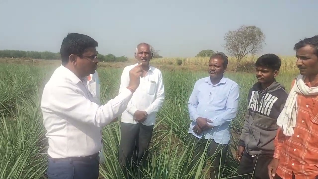 ऊस तंत्रज्ञान : किसान ऍग्रोटेक AI ऊस तंत्रज्ञान, विमानतळ रोड नांदेड -9834246532