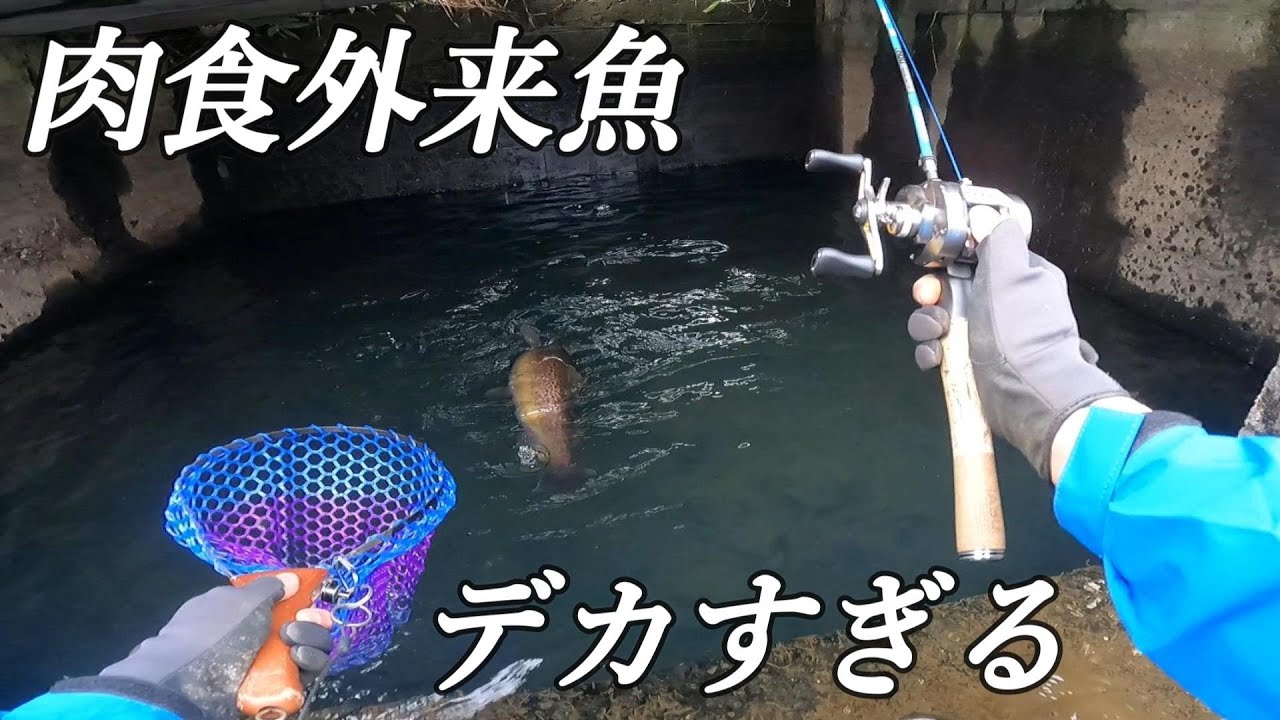 用水路のトンネルに潜むモンスター!!!!
