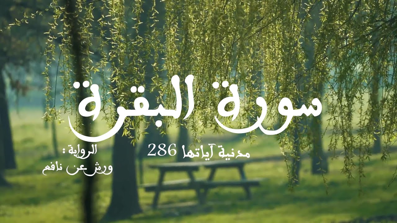 سورة البقرة | كاملة برواية  ورش عن نافع