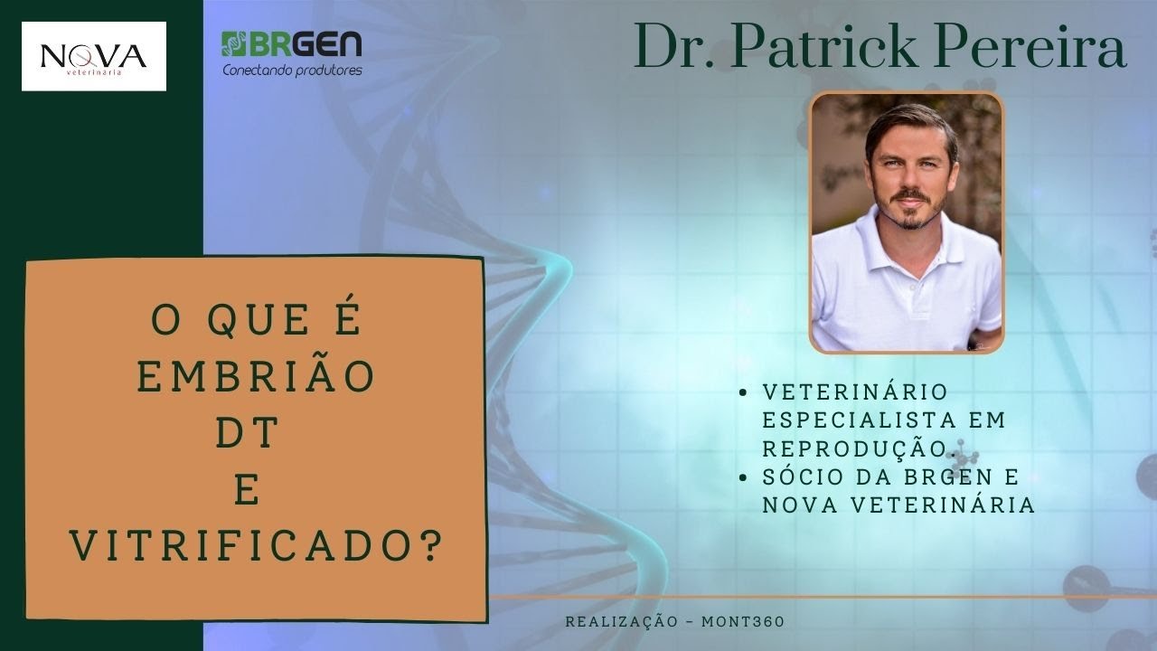 Embrião DT e Vitrificado, o que são ?