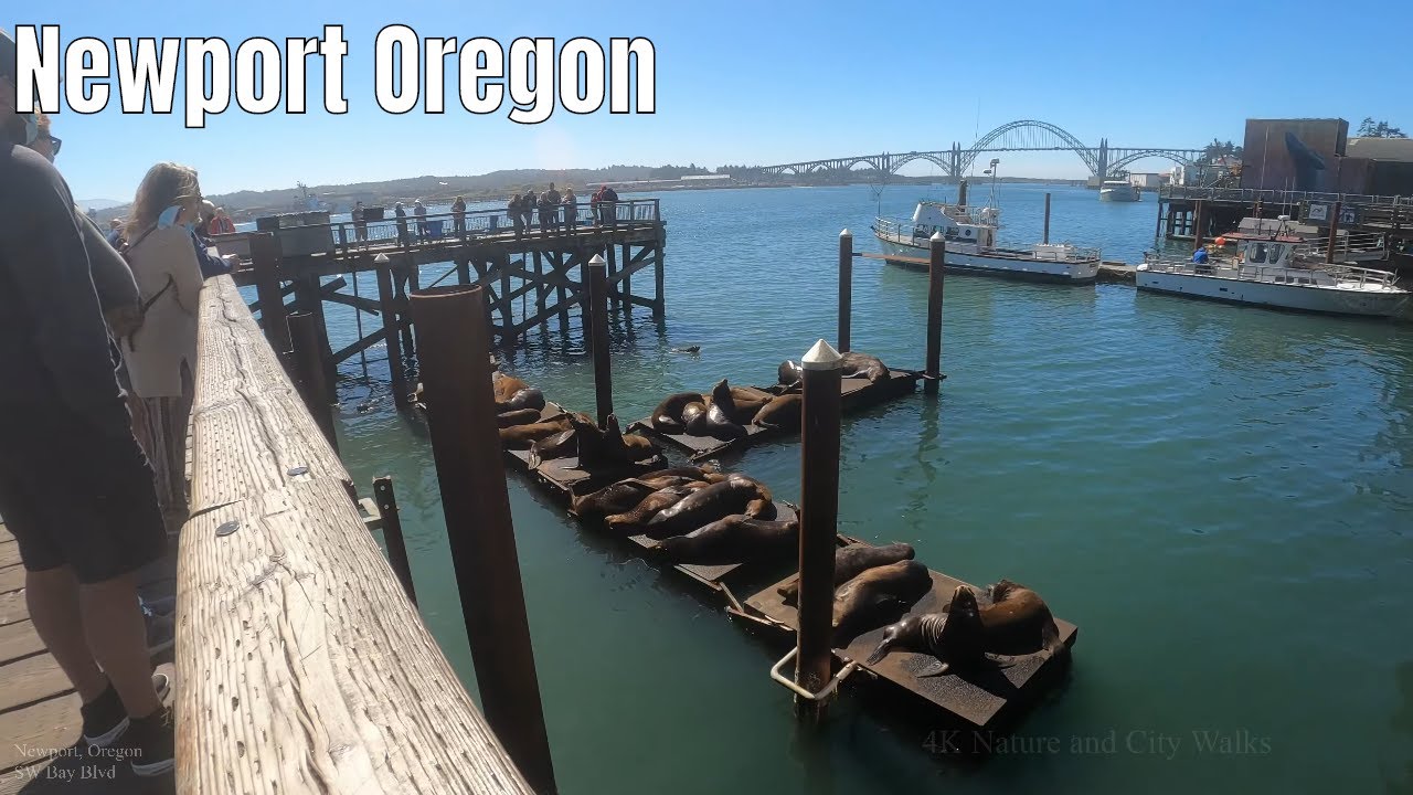 Newport, Oregon 2020 Travel Coastal City 4k Walking Tour