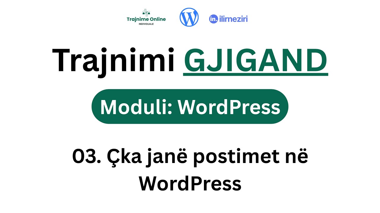 03. Çka janë postimet në WordPress | Moduli WordPress - Ilir Neziri