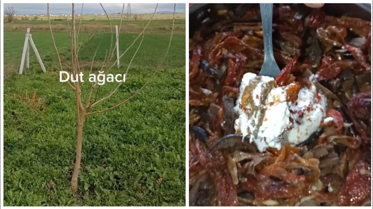  Kuzine Sobada Kuru Patlıcan ve Kuru Biber Kavurması #kurubiber #kurubiberkavurması #kuzinesoba #köy