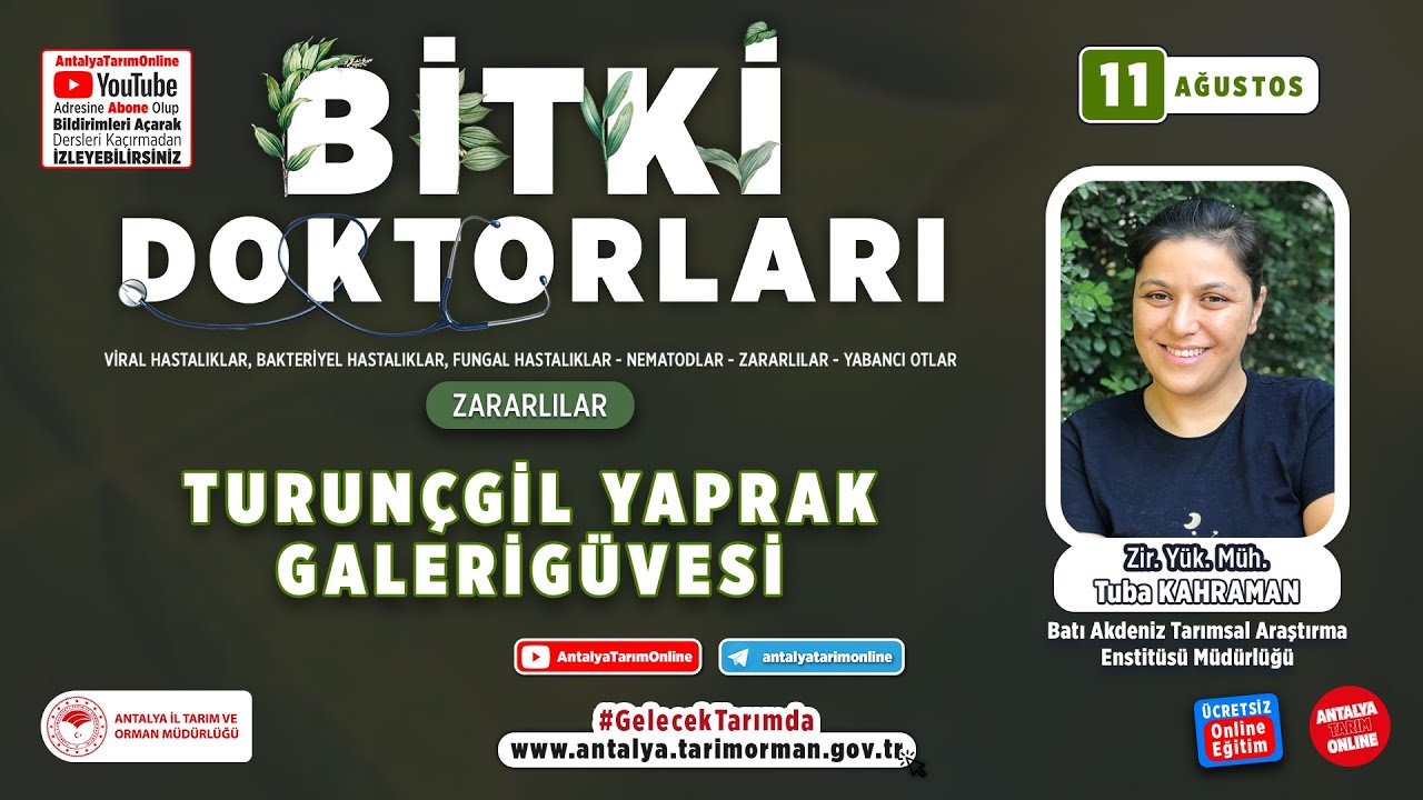 Bitki Doktorları 49 - Turunçgil Yaprak Galerigüvesi ( Pyllocnistis citriella ) ve Mücadelesi