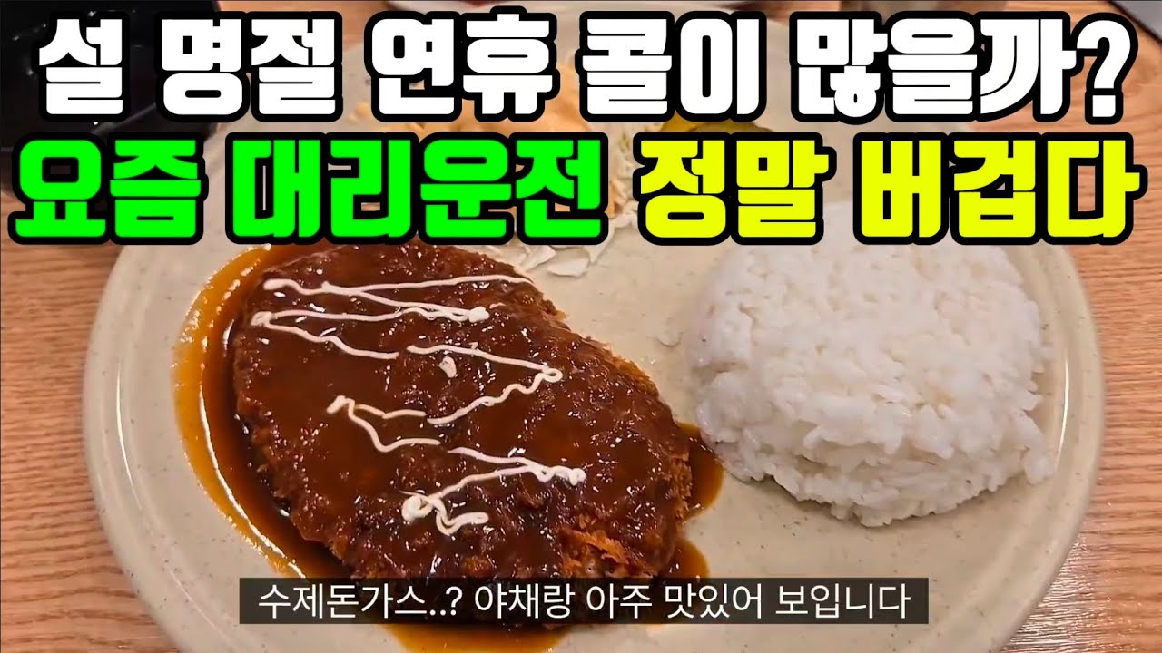 대리운전 설 연휴 콜이 많을까? (요즘 대리운전 정말 버겁다) #대리운전#대리기사#카카오대리#티맵대리#대리운전하는법#대리운전노하우#대리운전꿀팁#대리기사수입#투잡대리#부업#부수입