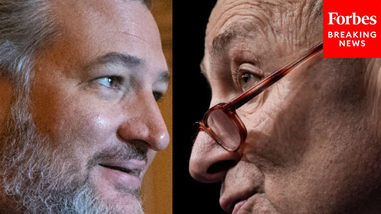 'It Is A Terrible Idea!': Ted Cruz Pushes Amendment On Inflation Reduction Act