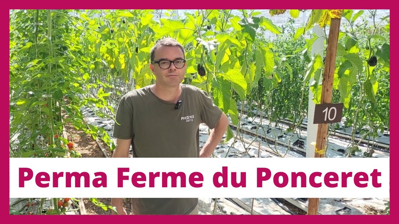 La Perma Ferme du Ponceret : Maraîchage sur sol vivant et pyrolyse de bois | PermaZoom