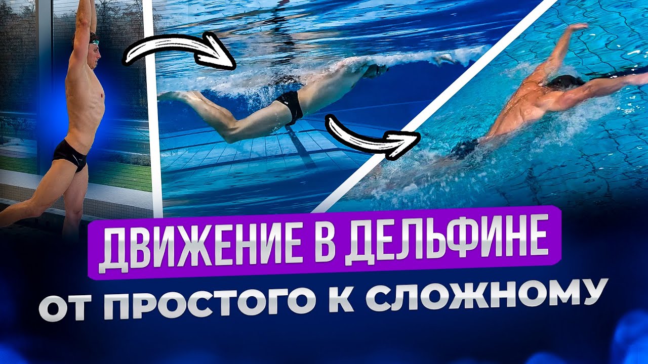 Дельфин для новичков — правильная последовательность.